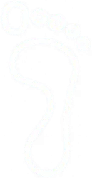 Percorsi2