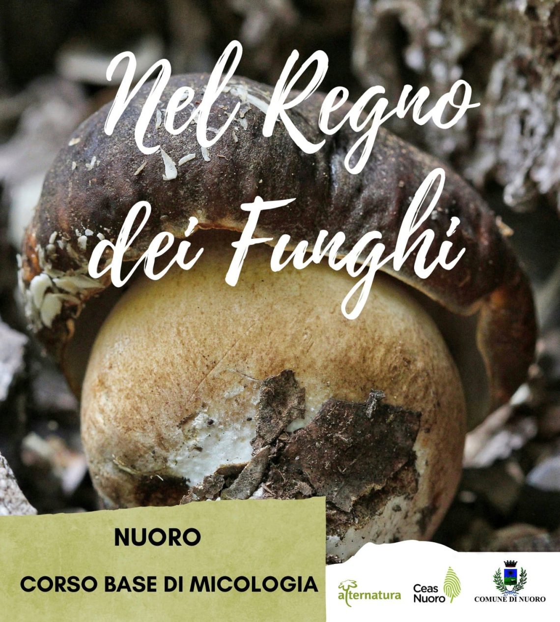 c77a95a2-740c-4321-aab3-4447ff2fb811